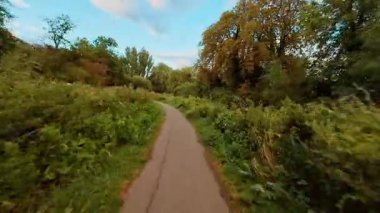 Dar asfalt yolda bisiklet süren maceraperest, yoğun yeşillik manzarası ile çevrili. Gezgin, ağaçlar ve çalılarla dolambaçlı kırsal yol boyunca bisiklet sürüyor. Keşif pedalları vahşi bitkilerle çevrili doğal yollardan geçiyor.
