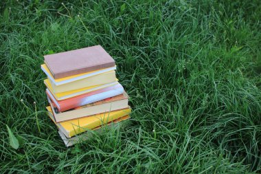 Yeşil çimenlikteki kitap yığını