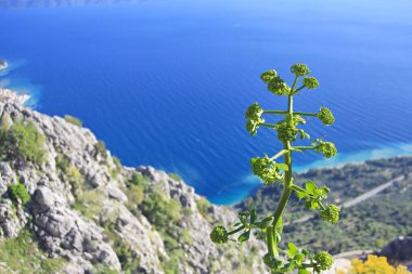 Dağ Biokovo 'dan Makarska, Dalmaçya ve Hırvatistan yakınlarındaki denize panoramik manzara