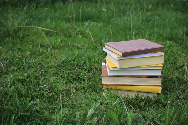 Stapel Bücher Grünen Gras — Stockfoto