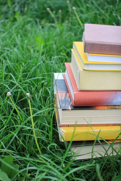 緑の芝生の本のスタック — ストック写真