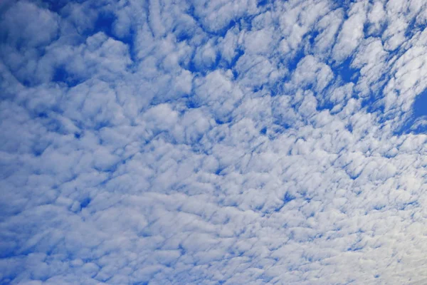 Ciel Bleu Avec Des Nuages Blancs — Photo