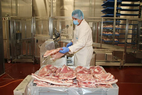 Cerdo Fresco Una Fábrica Carne — Foto de Stock