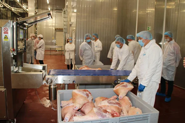 Cerdo Fresco Una Fábrica Carne — Foto de Stock