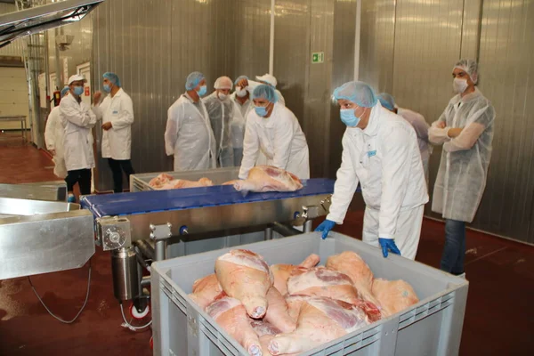 Cerdo Fresco Una Fábrica Carne — Foto de Stock