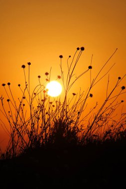Dağ çimlerinde gün batımı