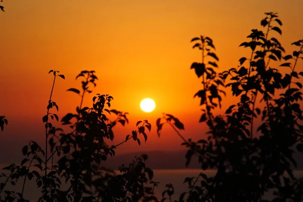 Pôr Sol Gramado Montanha — Fotografia de Stock