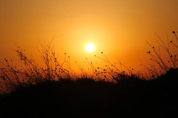 Pôr Sol Gramado Montanha — Fotografia de Stock