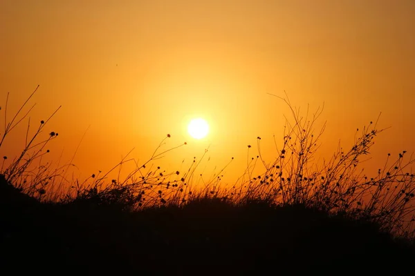 Pôr Sol Gramado Montanha — Fotografia de Stock