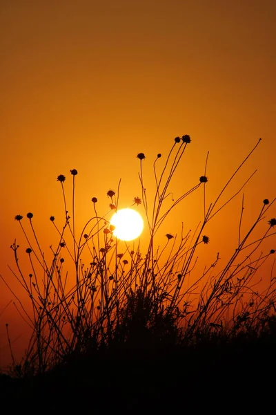 Pôr Sol Gramado Montanha — Fotografia de Stock