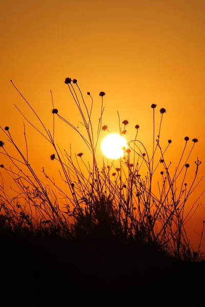 Pôr Sol Gramado Montanha — Fotografia de Stock