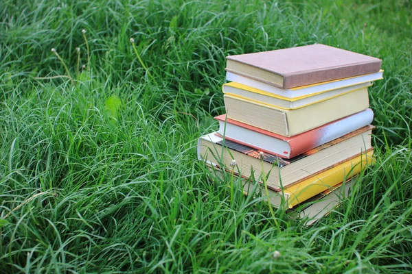 Stapel Bücher Grünen Gras — Stockfoto