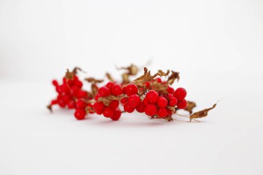 Beyaz arkaplanda kırmızı dut