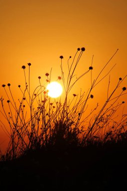 Sınıfın masasında açık bir kitap.