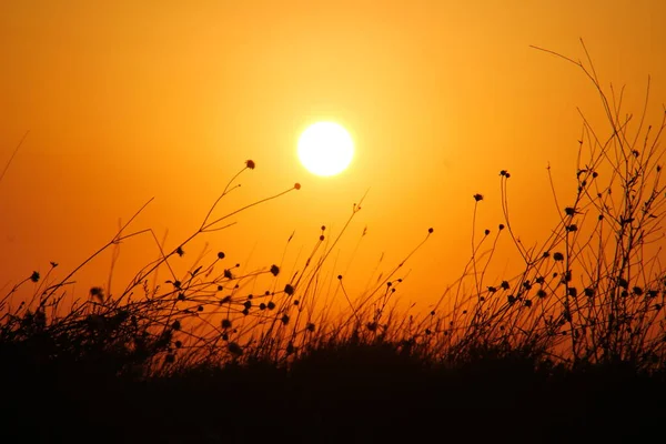 Pôr Sol Gramado Montanha — Fotografia de Stock