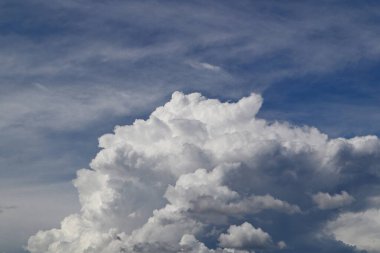 Sage (Salvia officinalis), naneli şeker (Lamiaceae) familyasından bir bitki türü olup yüzyıllardır halk ve resmi ilaçlarda kullanılmaktadır. Çay, adaçayı, adaçayı, bitkisel tedavi, alternatif tıp, yeşil bitkiler