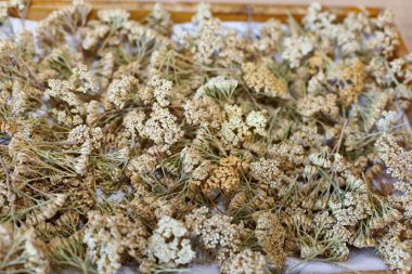 Beyaz bir kutuda kurumuş çiçek demeti.