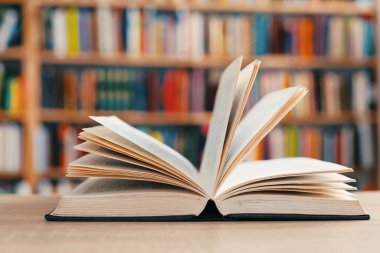 Kitapların, okulun, kütüphanenin yüksek kaliteli fotoğrafları, William Shakespeare, edebiyat, romanlar, kısa hikayeler, şiir, editoryal