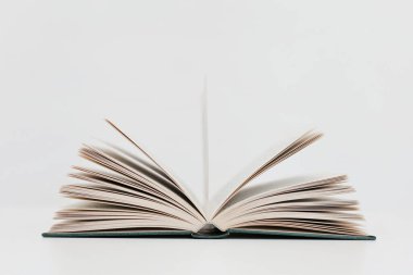 Kitapların, okulun, kütüphanenin yüksek kaliteli fotoğrafları, William Shakespeare, edebiyat, romanlar, kısa hikayeler, şiir, editoryal