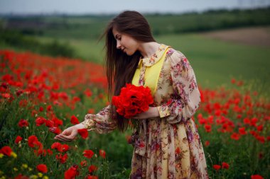 Uzun saçlı, nazik, çiçek tarlasında poz veren gelincik çiçeğinin güzel portresi..