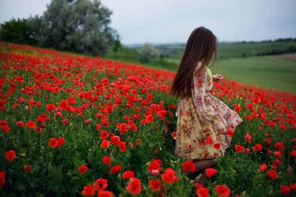 Der Rücken Eines Schönen Langhaarigen Mädchens Einem Zarten Floralen Kleid — Stockfoto