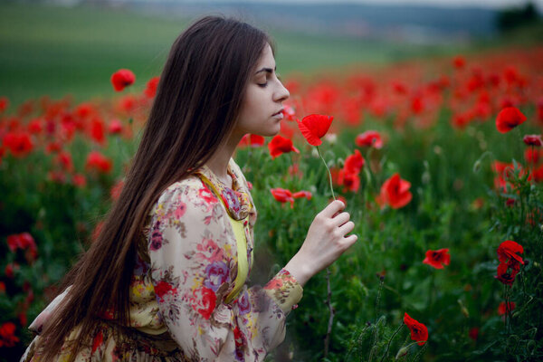 A handsome girl with long hair and natural skin, standing in a fiel of red poppies and holding a red poppy in hands, on nature landscape background. Horizontal view.