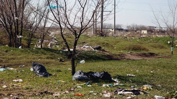 나무들 쓰레기와 비닐봉지들로 뒤덮여 바람에 있었다 생태계 의비할 데없는 보호받지 — 스톡 사진