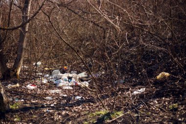Çöp, plastik, torbalar ve polyester saçılmış ve gün ışığında kuru çimlere atılmış. Ekoloji kavramı, doğaya kayıtsızlık.