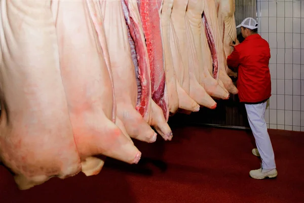 Closeup of a cuts pork that hangs on the hook in a meat processing factory. Horizontal view.