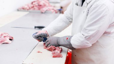 Et fabrikasında el işçisine yakın durmak, metal çalışma masasında taze et doğramak, işleme ve üretim gıdası endüstrisi. Yatay görünüm.