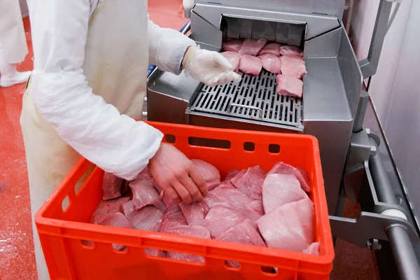 Horizontal view. Meat company, industry. A worker hands holding a raw cuts of minced meat, introduced into an introductory washing in the meat production process.