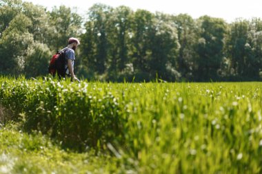 Yatay görüş. Yaz çayırında tek başına yürüyüş..