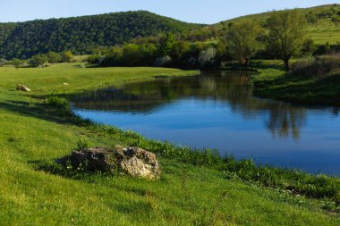 Güneşli bir yaz gününde güzel bir nehir ve çiçek tarlası..
