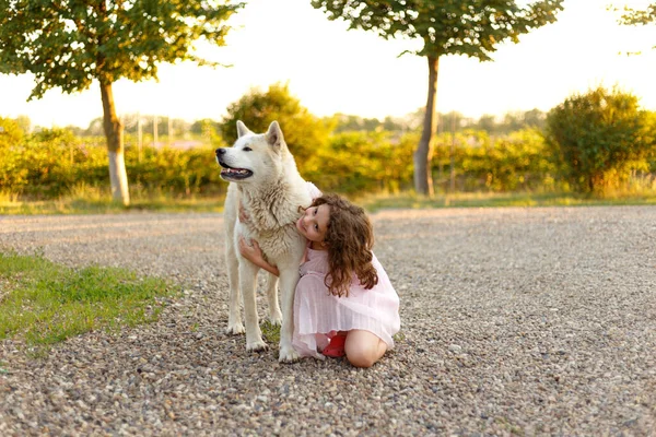 Retrato Comprimento Total Uma Menina Adorável Abraça Seu Cão Grande — Fotografia de Stock
