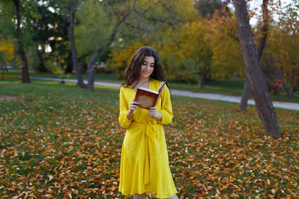 Uzun kıvırcık saçlı, sarı elbiseli, parkta kitap okuyan genç bir kadın. Romantik kitap kapağı fikri. Sonbahar Conent. Boşluğu kopyala.