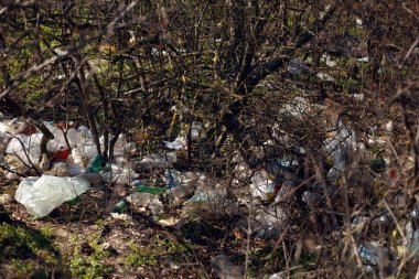 Plastik torbalar, şişe ve hurda yığını, atıklar atıldı. Doğa kirliliği kavramı. Yatay görünüm.