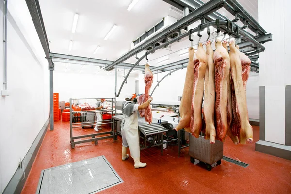 Vista Posterior Grupo Trabajadores Fábrica Carne Picado Una Carne Fresca — Foto de Stock