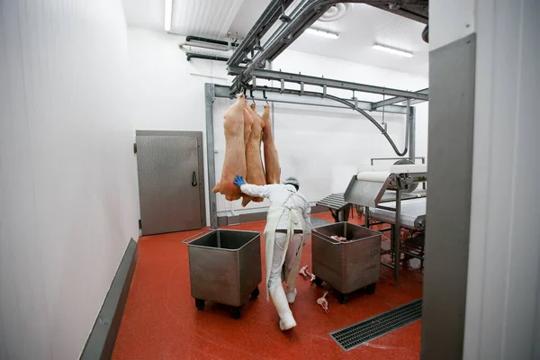Vista Posterior Grupo Trabajadores Fábrica Carne Picado Una Carne Cerdo — Foto de Stock