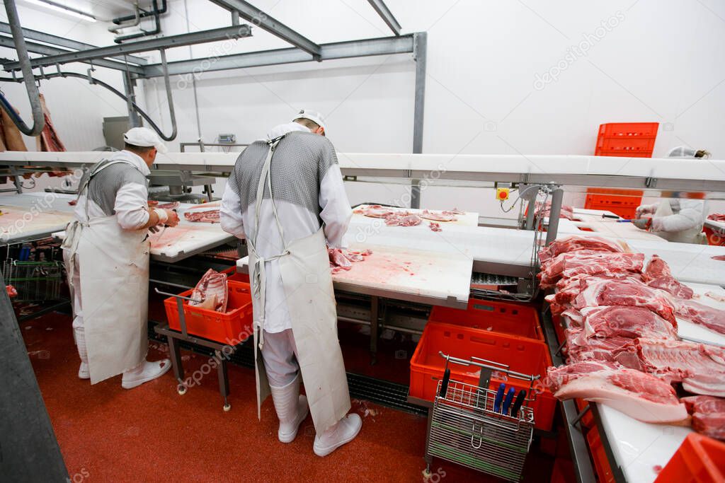 Back view of a group of worker in meat factory, chopped a fresh beef meat in pieces on work table, industry food. Horizontal view.