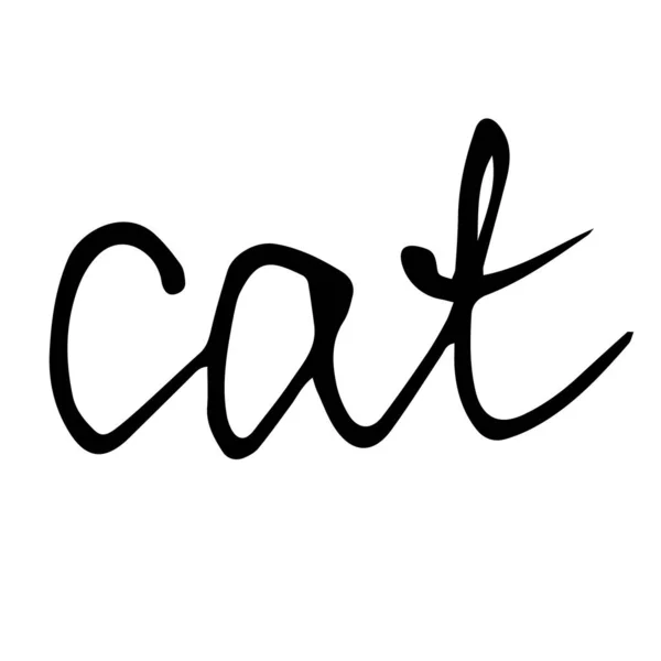 Chat Mot Dessiné Main Calligraphie Texte Noir Sur Fond Blanc — Photo