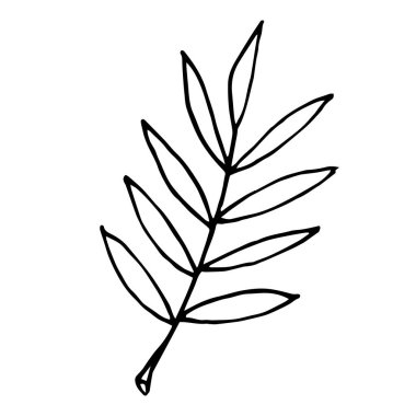 Yaprak sonbahar parçası izole nesne beyaz arkaplan üzerinde siyah illüstrasyon sonbahar ağaç dalı