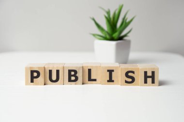 Beyaz arkaplanda tahta küpler üzerine kelime PUBLISH.