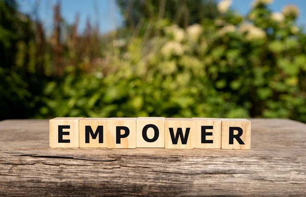 Doğanın tahta bloğuna yazılmış EMPOWER sözcüğü.