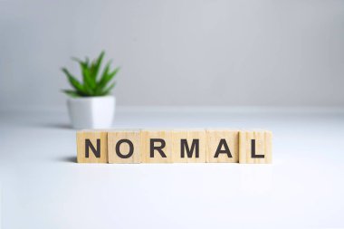 Normal kelime kavramı, beyaz üzerine yazı yazılmış tahta küpler.