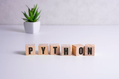 Python programlama dili kelime kavramı. QA kavramı.