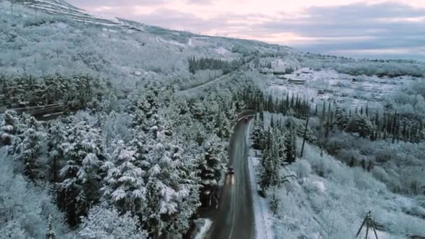 Luchtfoto Voor Snowy Forest — Stockvideo
