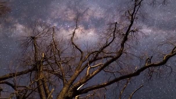 Helle Milchstraße Galaxie Und Sterne Über Der Silhouette Eines Einsamen — Stockvideo