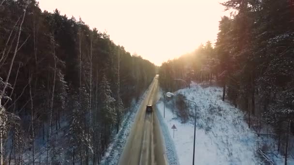 Samochodem Jeździ Drogą Śnieżnym Lesie Nagranie Promienie Porannego Słońca Widok — Wideo stockowe