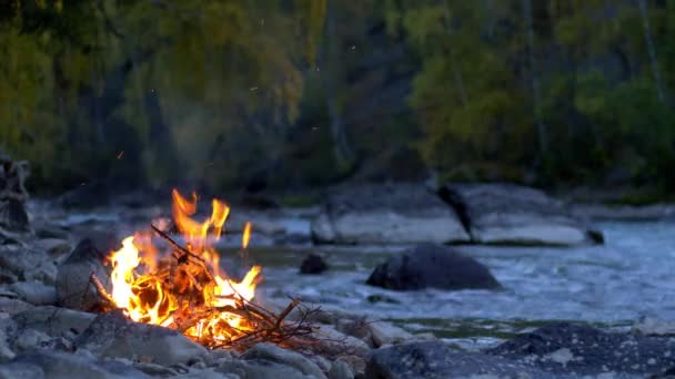 Wypalanie Gasnącego Ogniska Potokiem Rzecznym Rapids Jesiennych Drzew Tle Rocky — Wideo stockowe