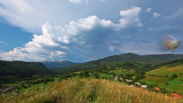 Video Van Vliegende Vlinders Landschap — Stockvideo